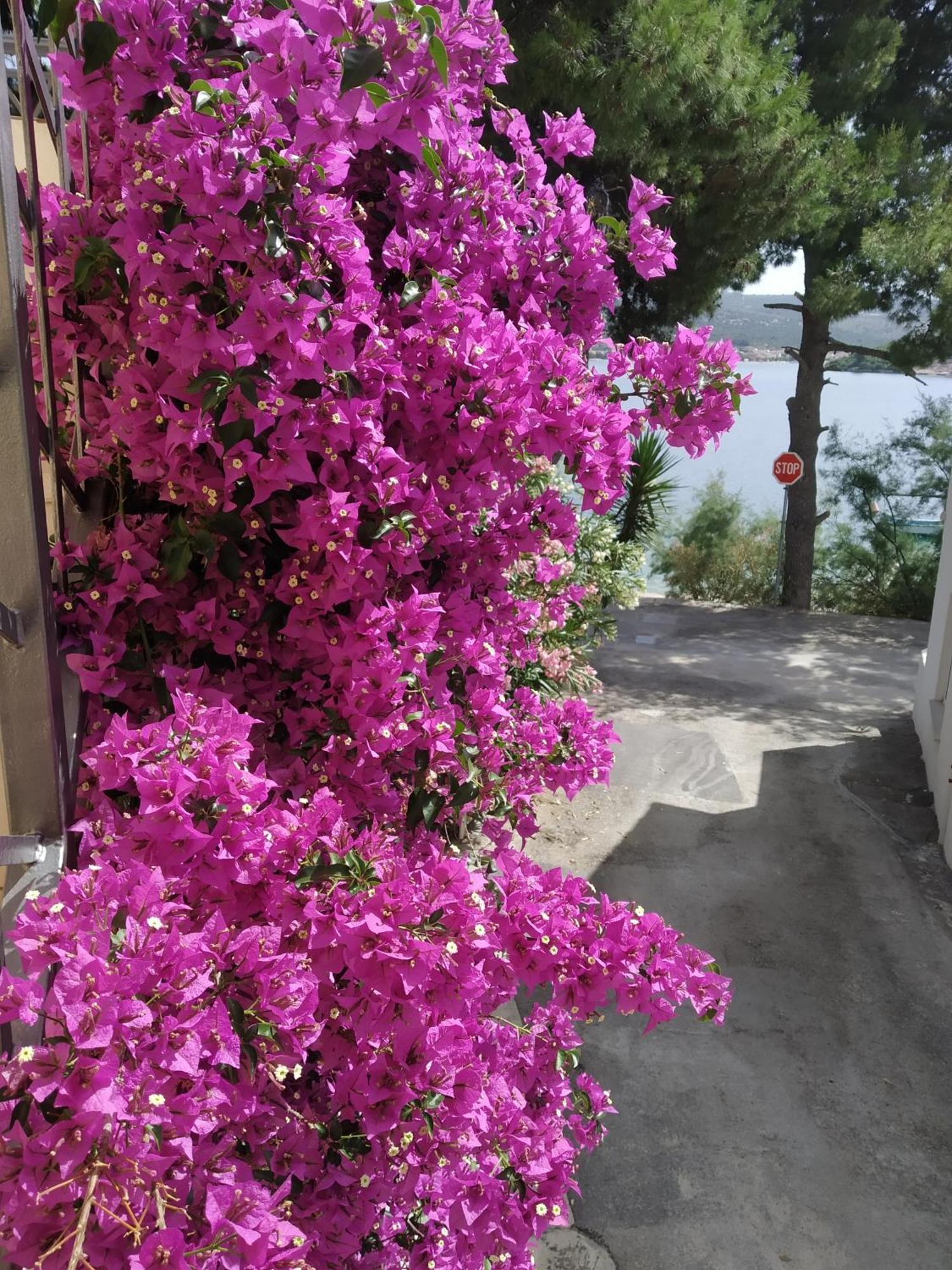 Holiday Home Milenka Rogoznica  Dış mekan fotoğraf
