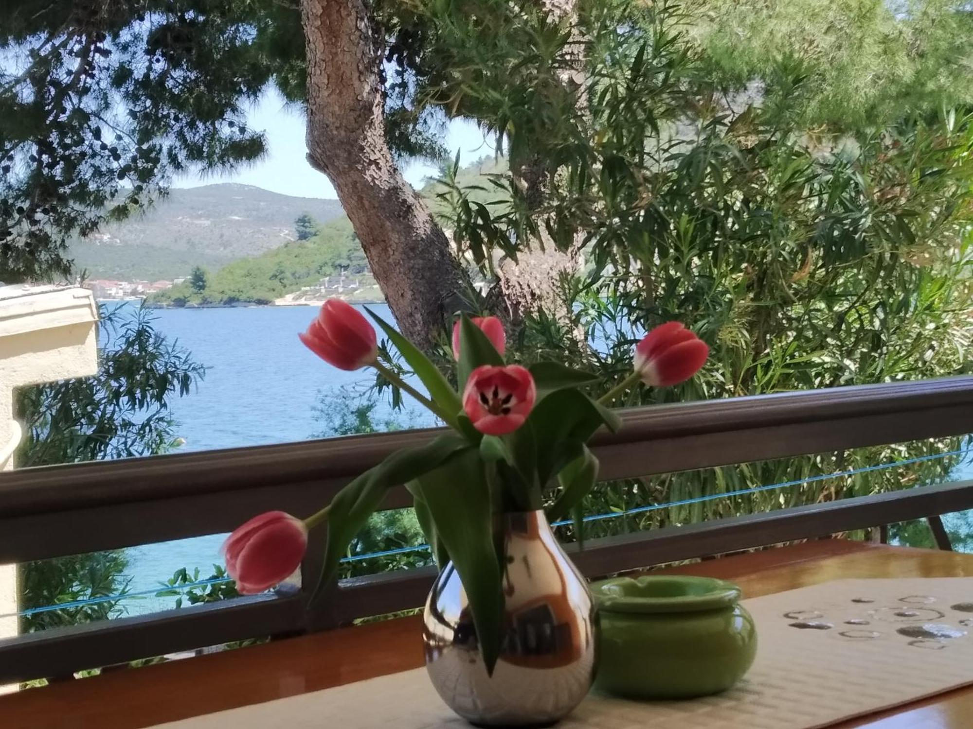 Holiday Home Milenka Rogoznica  Dış mekan fotoğraf